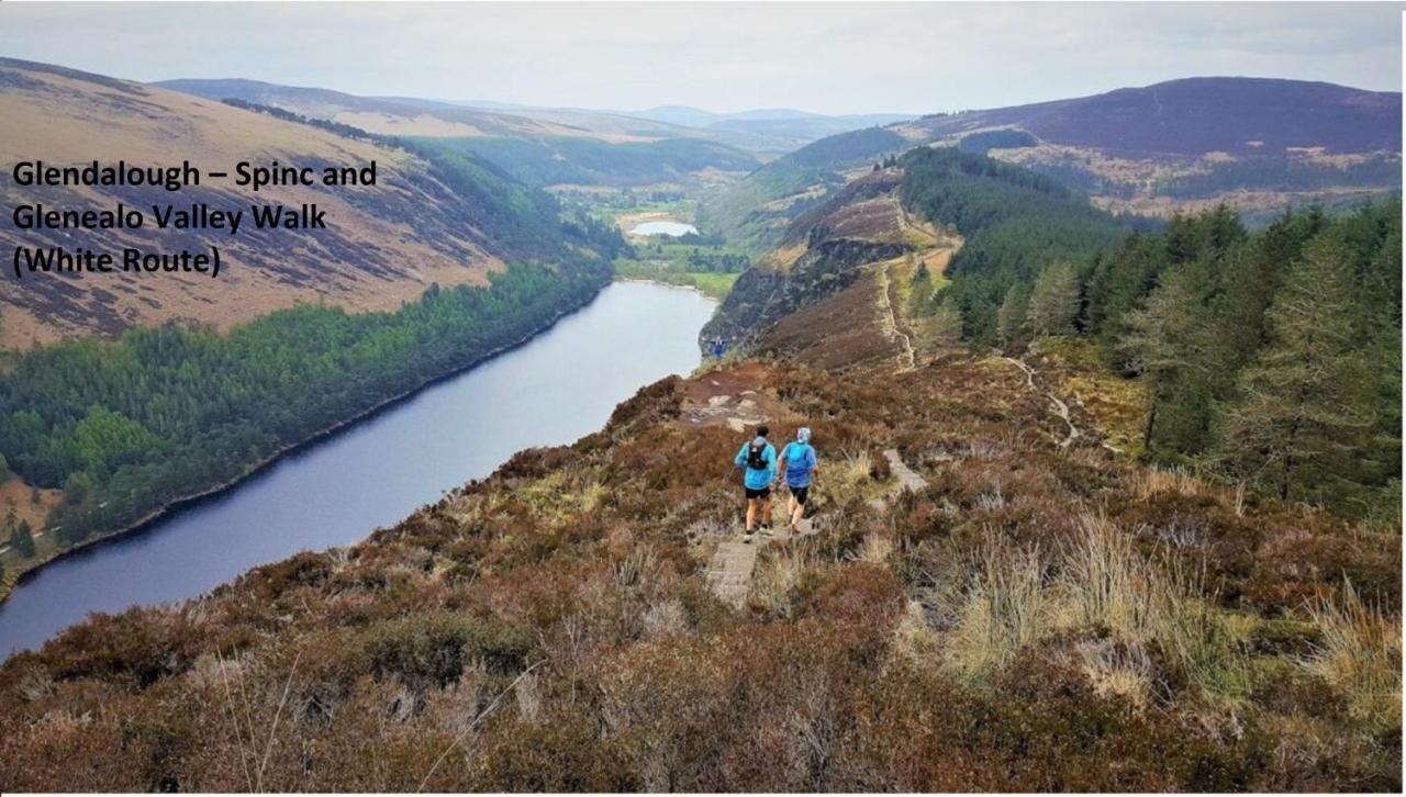 Glendalough Scenery Farmhouse راوندوود المظهر الخارجي الصورة